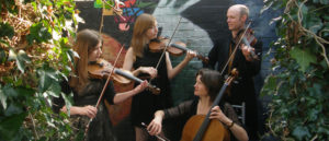 Bristol Ceilidh Quartet: Wedding Barn Dance and Ceilidh Band